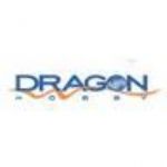 Dragon Hobby